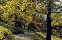 spring sunshine in Patterdale