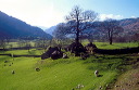 springtime in Great Langdale