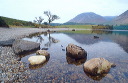 on the shore of Crummock Water