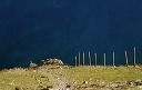 fenceposts along Littledale Edge