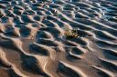 Sand Patterns