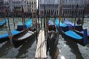 Venetian Gondolas