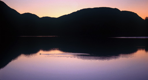 buttermere.jpg