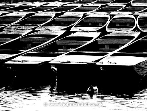 flotilla.jpg