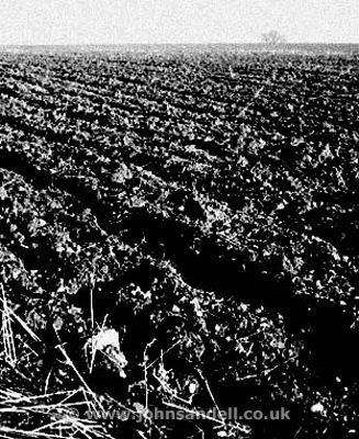 ploughed.jpg