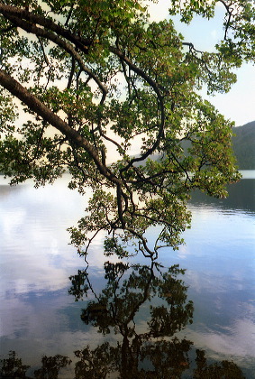 ullswater1.jpg