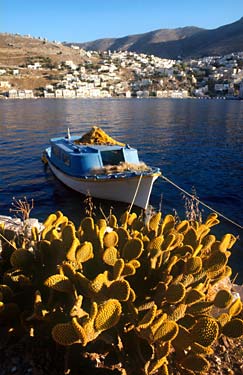 A postcard from Symi