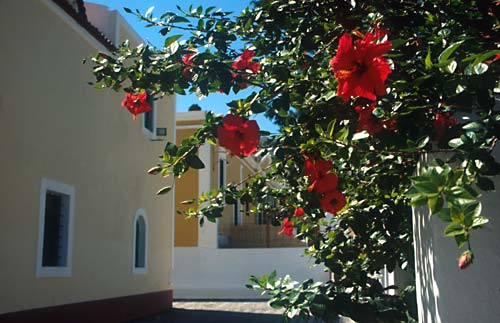 A postcard from Symi