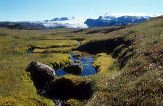 Icelandic landscape photo